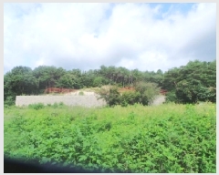  2025Ÿ1760  õ ź  50-47      (Ӿ)