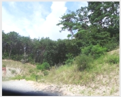  2025Ÿ1760  õ ź  50-47      (Ӿ)