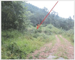  2025Ÿ��1968 ���� ������ ������ ���߸� 302      ����(��1)���