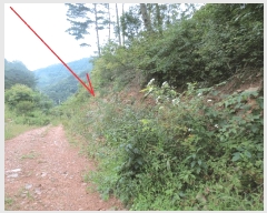  2025Ÿ��1968 ���� ������ ������ ���߸� 302      ����(��1)���