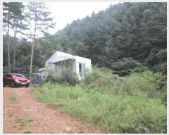  2025Ÿ��1968 ���� ������ ������ ���߸� 302      ����(��1)���