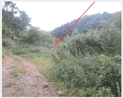  2025Ÿ��1968 ���� ������ ������ ���߸� 302      ����(��1)���