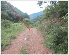  2025Ÿ��1968 ���� ������ ������ ���߸� 302      ����(��1)���