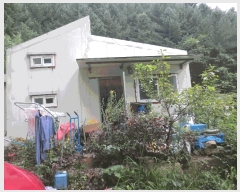  2025Ÿ��1968 ���� ������ ������ ���߸� 302      ����(��1)���