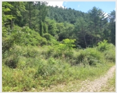  2025Ÿ��1968 ���� ������ ������ ���߸� 302      ����(��1)���