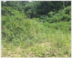  2025Ÿ��1968 ���� ������ ������ ���߸� 302      ����(��1)���