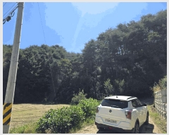  2025Ÿ��2121 ���� �籸�� ���� ��� 469      ����,â�����