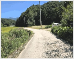  2025Ÿ��2121 ���� �籸�� ���� ��� 469      ����,â�����