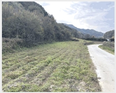  2025Ÿ��2329 ���� ��õ�� ����� ���縮 862-6      ����(������)���