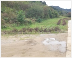  2025Ÿ��2329 ���� ��õ�� ����� ���縮 862-6      ����(������)���