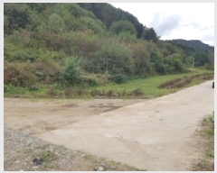  2025Ÿ��2329 ���� ��õ�� ����� ���縮 862-6      ����(������)���