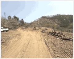  2025Ÿ50564  õ  ߰ 1      (Ӿ)