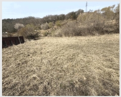  2025Ÿ50564  õ  ߰ 1      (Ӿ)