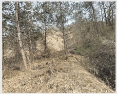  2025Ÿ50564  õ  ߰ 1      (Ӿ)