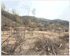  2025Ÿ50564  õ  ߰ 1      (Ӿ)