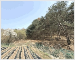  2025Ÿ50564  õ  ߰ 1      (Ӿ)