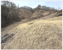  2025Ÿ50564  õ  ߰ 1      (Ӿ)