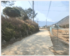  2025Ÿ��50568  �����