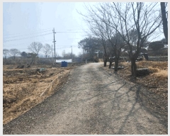  2025Ÿ��50568  �����