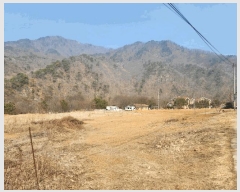  2025Ÿ��50568  �����