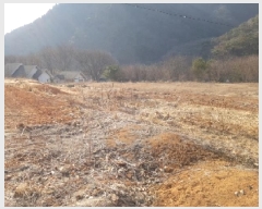  2025Ÿ��50568  �����