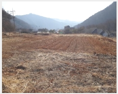  2025Ÿ��50568  �����