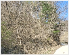  2025Ÿ50604  õ   60      (Ӿ)