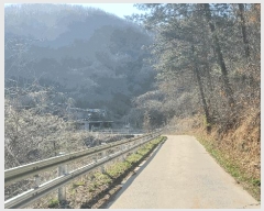  2025Ÿ50604  õ   60      (Ӿ)