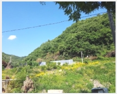  2025Ÿ��50604 ���� ��õ�� ����� ������ ��75      ����(�Ӿ�)���