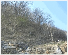  2025Ÿ50604  õ   60      (Ӿ)