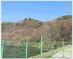  2025Ÿ50604  õ   60      (Ӿ)