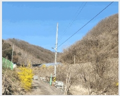  2025Ÿ50604  õ   60      (Ӿ)