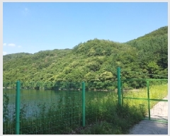  2025Ÿ50604  õ   60      (Ӿ)