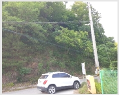  2025Ÿ50604  õ   60      (Ӿ)