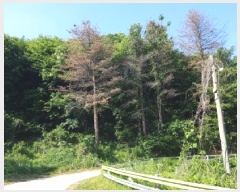  2025Ÿ��50604 ���� ��õ�� ����� ������ ��75      ����(�Ӿ�)���