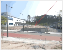  2025Ÿ50671  õ 赿 1269       ()