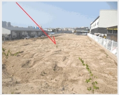  2025Ÿ50671  õ 赿 1269       ()