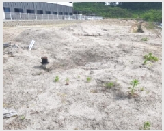  2025Ÿ50671  õ 赿 1269       ()