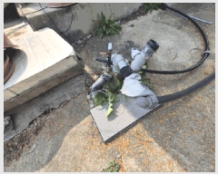  2025Ÿ��50683 ���� ��õ�� �ź��� ������ 785-2      ����(��1)���