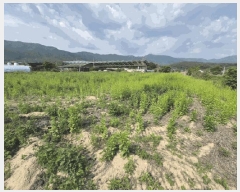  2025Ÿ��50683 ���� ��õ�� �ź��� ������ 785-2      ����(��1)���