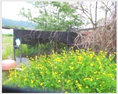  2025Ÿ��50683 ���� ��õ�� �ź��� ������ 785-2      ����(��1)���