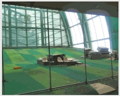  2025Ÿ50695  õ 赿 1029 õ ī 8801ȣ    ,繫ǰ