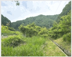  2025Ÿ50699  ȫõ ȫõ  683-3      ()