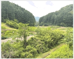  2025Ÿ50699  ȫõ ȫõ  683-3      ()