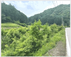  2025Ÿ50699  ȫõ ȫõ  683-3      ()