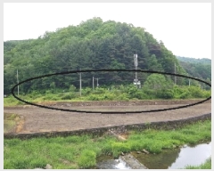  2025Ÿ50699  ȫõ ȫõ  683-3      ()