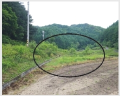  2025Ÿ50699  ȫõ ȫõ  683-3      ()