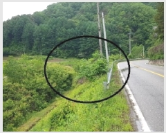  2025Ÿ50699  ȫõ ȫõ  683-3      ()