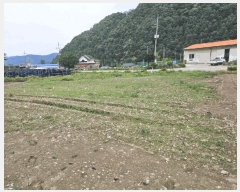  2025Ÿ50703  ȫõ  õ 355      ()