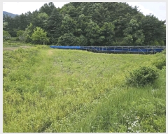  2025Ÿ50703  ȫõ  õ 355      ()